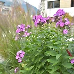 شقة In Near Stubai Glacier *