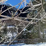 In Near Stubai Glacier *