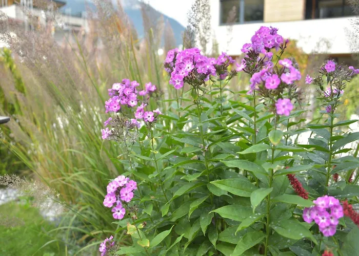 Apartament In Near Stubai Glacier Fulpmes