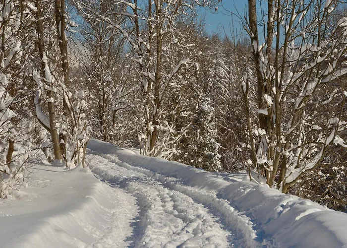 Lejlighed In Near Stubai Glacier