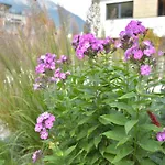 In Near Stubai Glacier * Fulpmes